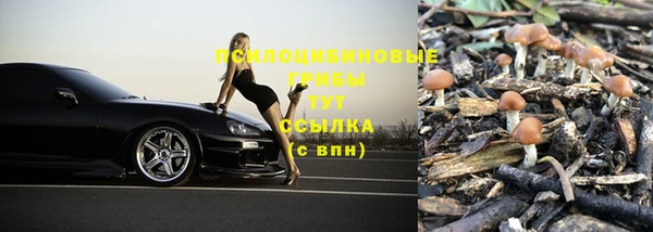 дмт Снежногорск