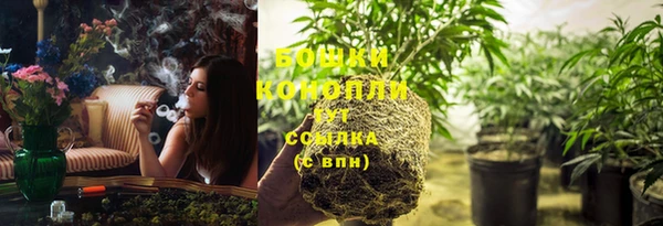 ALPHA PVP Беломорск
